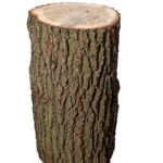 Billot aus Eichenholz, Höhe 80 Zentimeter